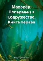 Читать онлайн книгу Попаданец в Содружество (СИ) автор Поселягин Владимир Геннадьевич Книга Попаданец в Содружество (СИ)