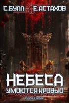Читать онлайн книгу Воля Небес (СИ) автор Астахов Евгений Евгеньевич Книга Воля Небес (СИ)
