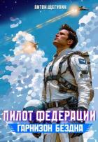 Книга Гарнизон Бездна (СИ)
