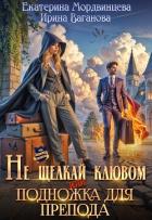 Читать онлайн книгу Не щелкай клювом, или Подножка для препода (СИ) автор Мордвинцева Екатерина Книга Не щелкай клювом, или Подножка для препода (СИ)