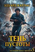 Читать онлайн книгу Тень пустоты (СИ) автор Катлас Эдуард Книга Тень пустоты (СИ)