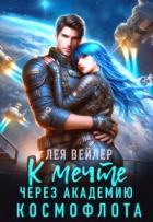 Читать онлайн книгу К мечте через академию космофлота автор Вейлер Лея Книга К мечте через академию космофлота