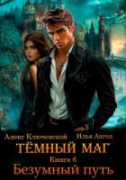 Читать онлайн книгу Тёмный маг. Книга 6. Безумный путь автор Ангел Илья Книга Тёмный маг. Книга 6. Безумный путь