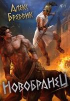 Читать онлайн книгу #неАИ. Новобранец. Том 1 автор Бредвик Алекс Книга #неАИ. Новобранец. Том 1