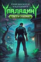 Читать онлайн книгу Паладин. Свет и Скверна IV (СИ) автор Романов Илья Николаевич Книга Паладин. Свет и Скверна IV (СИ)