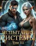 Книга Испытание Системы III (СИ)