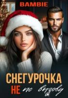 Читать онлайн книгу Снегурочка не по вызову (СИ) автор Благосклонная Ядвига Книга Снегурочка не по вызову (СИ)