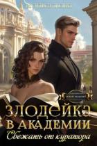 Читать онлайн книгу Злодейка в академии. Сбежать от куратора (СИ) автор Лисина Василиса Книга Злодейка в академии. Сбежать от куратора (СИ)