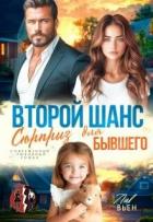 Читать онлайн книгу Второй шанс. Сюрприз для бывшего (СИ) автор Вьен Лив Книга Второй шанс. Сюрприз для бывшего (СИ)