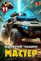 Читать онлайн книгу Мастер 11 (СИ) автор Чащин Валерий Книга Мастер 11 (СИ)