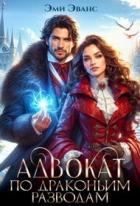 Читать онлайн книгу Адвокат по драконьим разводам (СИ) автор Эванс Эми Книга Адвокат по драконьим разводам (СИ)