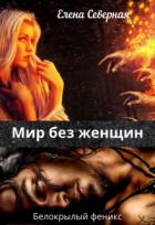 Читать онлайн книгу Мир без женщин (СИ) автор Северная Елена Книга Мир без женщин (СИ)
