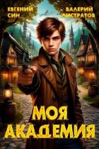 Читать онлайн книгу Моя Академия (СИ) автор Син Евгений Книга Моя Академия (СИ)