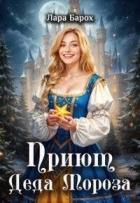 Читать онлайн книгу Приют Деда Мороза (СИ) автор Барох Лара Книга Приют Деда Мороза (СИ)