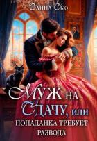 Читать онлайн книгу Муж на сдачу, или Попаданка требует развода (СИ) автор Сью Санна Книга Муж на сдачу, или Попаданка требует развода (СИ)
