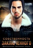 Читать онлайн книгу Собственность заключенного (СИ) автор Благосклонная Ядвига Книга Собственность заключенного (СИ)