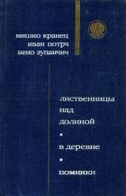 Читать онлайн книгу Поминки автор Зупанчич Бено Книга Поминки
