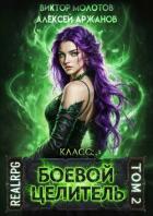 Читать онлайн книгу Класс: Боевой Целитель. Том 2 (СИ) автор Аржанов Алексей Книга Класс: Боевой Целитель. Том 2 (СИ)