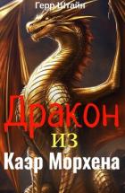 Читать онлайн книгу Дракон из Каэр Морхена (СИ) автор Штайн Герр Книга Дракон из Каэр Морхена (СИ)