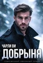 Книга Добрыня (СИ)