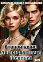 Читать онлайн книгу Второй шанс для сгоревшего феникса (СИ) автор Черная Мстислава Книга Второй шанс для сгоревшего феникса (СИ)