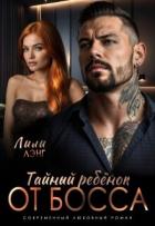 Читать онлайн книгу Тайный ребёнок от Босса (СИ) автор Лэнг Лили Книга Тайный ребёнок от Босса (СИ)