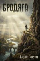 Читать онлайн книгу Бродяга (СИ) автор Первухин Андрей Евгеньевич Книга Бродяга (СИ)