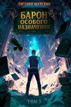 Читать онлайн книгу Барон особого назначения 3 (СИ) автор Щурский Евгений Книга Барон особого назначения 3 (СИ)