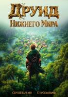 Читать онлайн книгу Друид Нижнего мира (СИ) автор Золотарев Егор Книга Друид Нижнего мира (СИ)