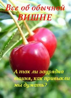 Читать онлайн книгу Все об обычной вишне автор Дубровин Иван Книга Все об обычной вишне