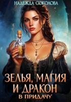 Читать онлайн книгу Зелья, магия и дракон в придачу автор Соколова Надежда Книга Зелья, магия и дракон в придачу