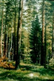 Читать онлайн книгу Лес – кормилец автор Дубровин Иван Книга Лес – кормилец