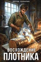 Читать онлайн книгу Восхождение Плотника (СИ) автор Панарин Антон Книга Восхождение Плотника (СИ)