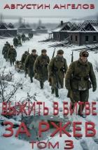 Читать онлайн книгу Выжить в битве за Ржев. Том 3 (СИ) автор Ангелов Августин Книга Выжить в битве за Ржев. Том 3 (СИ)