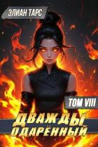 Читать онлайн книгу Дважды одаренный. Том VIII (СИ) автор Тарс Элиан Книга Дважды одаренный. Том VIII (СИ)