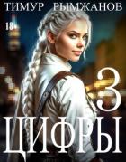 Читать онлайн книгу Цифры 3 (СИ) автор Рымжанов Тимур Книга Цифры 3 (СИ)