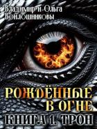 Читать онлайн книгу Трон (СИ) автор Войлошникова Ольга Книга Трон (СИ)