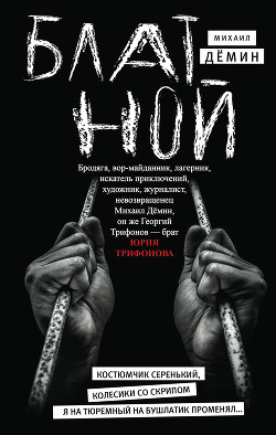 Книга Блатной (Автобиографический роман)