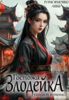 Читать онлайн книгу Госпожа Злодейка уходит в тень (СИ) автор Герасименко Анна Книга Госпожа Злодейка уходит в тень (СИ)