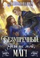 Читать онлайн книгу Безупречный. Ты не мой маг! автор Одувалова Анна Сергеевна Книга Безупречный. Ты не мой маг!