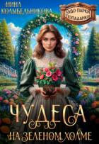 Читать онлайн книгу Чудеса на зеленом холме (СИ) автор Колыбельникова Нина Книга Чудеса на зеленом холме (СИ)