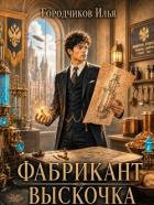 Читать онлайн книгу Выскочка (СИ) автор Городчиков Илья Книга Выскочка (СИ)