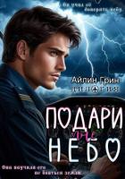 Читать онлайн книгу Подари мне небо. Дилогия автор Грин Айлин Книга Подари мне небо. Дилогия