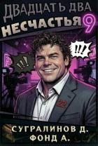 Книга Двадцать два несчастья 9 (СИ)