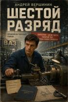Книга Шестой разряд (СИ)