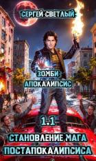 Читать онлайн книгу Зомби апокалипсис (СИ) автор Светлый Сергей Книга Зомби апокалипсис (СИ)