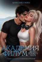 Книга Академия Филум. Мечта боевого мага (СИ)