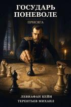 Читать онлайн книгу Присяга (СИ) автор Кейн Левиафан Книга Присяга (СИ)