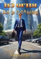 Книга Из огня да в полымя. Книга 2 (СИ)
