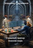 Читать онлайн книгу Осенняя жара (СИ) автор Стрельников Владимир Валериевич Книга Осенняя жара (СИ)